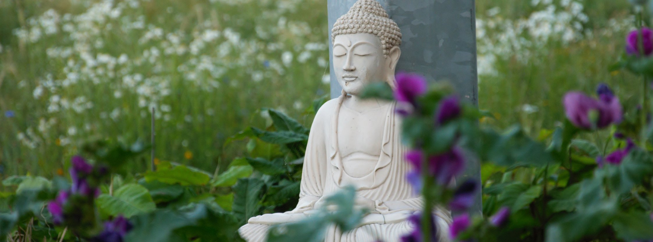 Metta Vihara Buddha statue